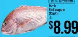 Hmart Fresh Red Snapper offer