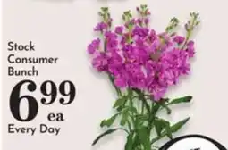 Pavilions Stock Consumer Bunch offer