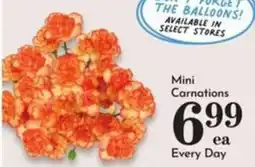 Pavilions Mini Carnations offer