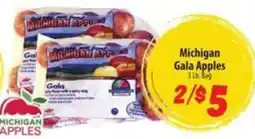 Food Giant Michigan Gala Apples offer