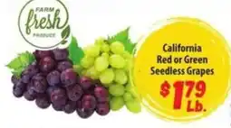 Food Giant Farm Fresh Produce California Red or Green Seedless Grapes offer