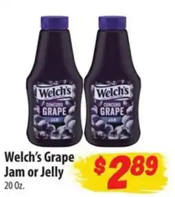 Food Giant Welch's grape jam or jelly offer