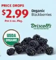 Aldi Driscoll's Organic Blackberries offer