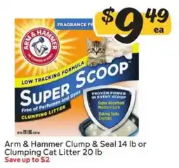 Winn Dixie Arm & Hammer Clump & Seal Cat Litter offer