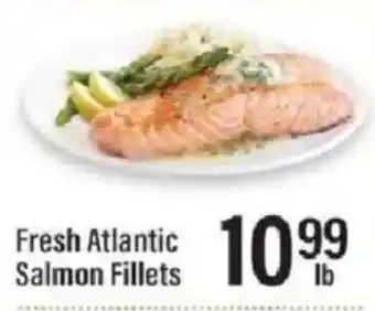 Fresh Atlantic Salmon Fillets