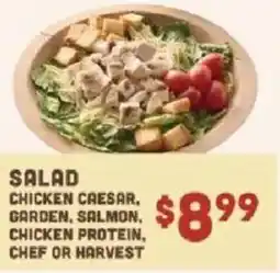 Lowes Foods Salad Chicken Caesar, Garden, Salmon, Chicken Protein, Chef or Harvest offer
