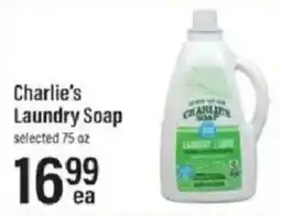 Lowes Foods Charlie's laundry soap offer