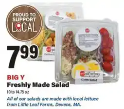Big Y Big Y Freshly Made Salad offer