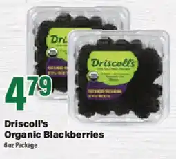 Big Y Driscoll's Organic Blackberries offer