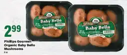 Big Y Phillips Gourmet Organic Baby Bello Mushrooms offer
