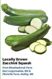 Big Y Locally Grown Zucchini Squash offer