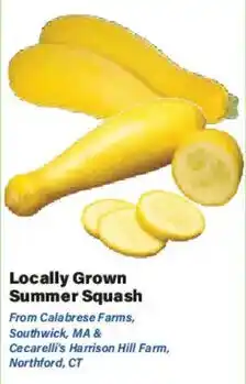 Big Y Locally Grown Summer Squash offer