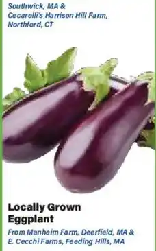 Big Y Locally Grown Eggplant offer