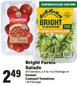 Big Y Bright Farms Salads offer
