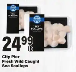 Big Y City Pier Fresh Wild Caught Sea Scallops offer