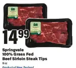 Big Y Springvale 100% Grass Fed Beef Sirloin Steak Tips offer