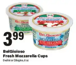 Big Y BelGioioso Fresh Mozzarella Cups offer