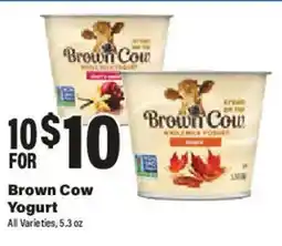 Big Y Brown Cow Yogurt offer