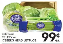 Pete's Fresh Market California CELERY or ICEBERG HEAD LETTUCE offer