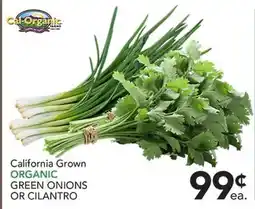 Pete's Fresh Market California Grown ORGANIC GREEN ONIONS OR CILANTRO offer