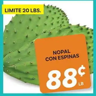 El Paso Grande NOPAL CON ESPINAS offer