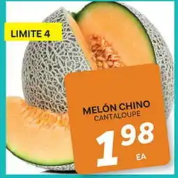El Paso Grande MELÓN CHINO offer