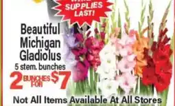 Angelo Caputo's Fresh Market Beautiful Michigan Gladiolus offer