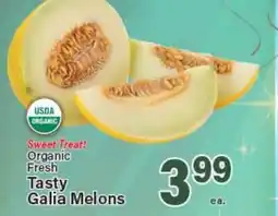 Angelo Caputo's Fresh Market Organic Fresh Tasty Galia Melons offer