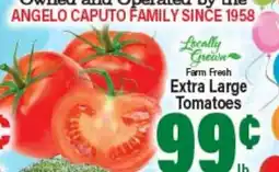 Angelo Caputo's Fresh Market Extra Large Tomatoes offer