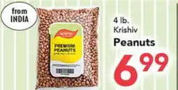 Eurofresh Market Krishiv Peanuts offer