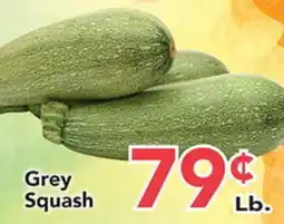 Eurofresh Market Grey Squash offer