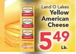 Eurofresh Market Land O Lakes Yellow American Cheese offer