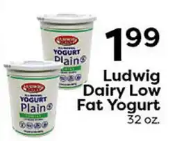 Rich's Fresh Market Ludwig Dairy Low Fat Yogurt offer