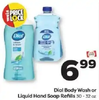 Dial Body Wash or Liquid Hand Soap Refills