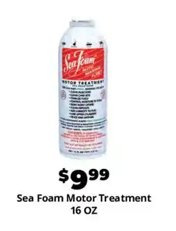 Advance Auto Parts Sea Foam Motor Treatment offer