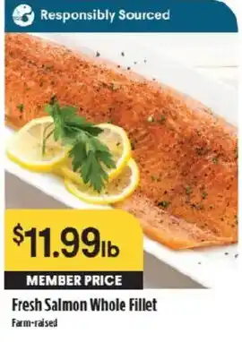 Fresh Salmon Whole Fillet