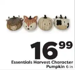 Weis Markets Essentials Harvest Character Pumpkin offer