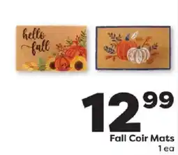 Weis Markets Fall Coir Mats offer