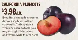 Central Market California plumcots offer