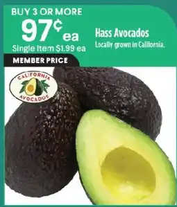Raley's Hass Avocados offer