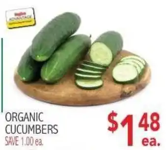 Organic Cucumbers