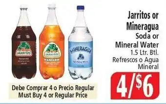 Jarritos or Mineragua Soda or Mineral Water
