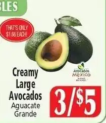 Food City Creamy Large Avocados offer