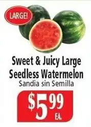 Food City Sweet & Juicy Large Seedless Watermelon offer
