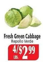 Food City Fresh Green Cabbage offer