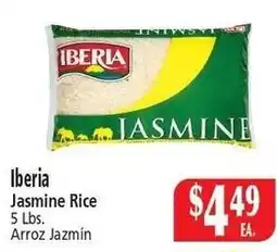Food City Iberia Jasmine Rice offer