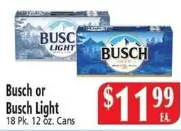 Food City Busch or Busch Light offer