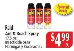 Food City Raid Ant & Roach Spray offer