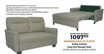 Kathy Ireland Easy Out Sleeper Sofa
