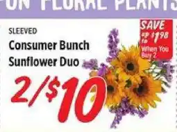 Rouses Consumer Bunch Sunflower Duo offer